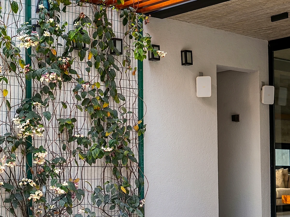 Muro com treliça e trepadeira em floração no quintal de casa residencial entregue pela HC Engenharia